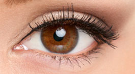 Beispielhaftes Permanent Make-up der Lider Permanent Make-up Lider